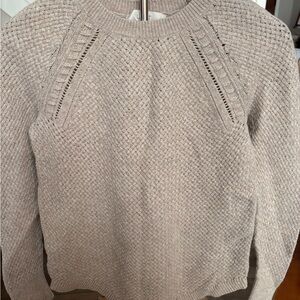 LOFT Textured Knit Sweater in Beige